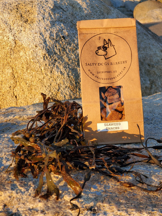 Seaweed Snacks Healthy Training Treats