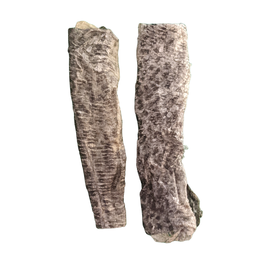 Large Cod Skin