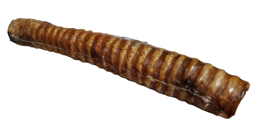 Beef Trachea