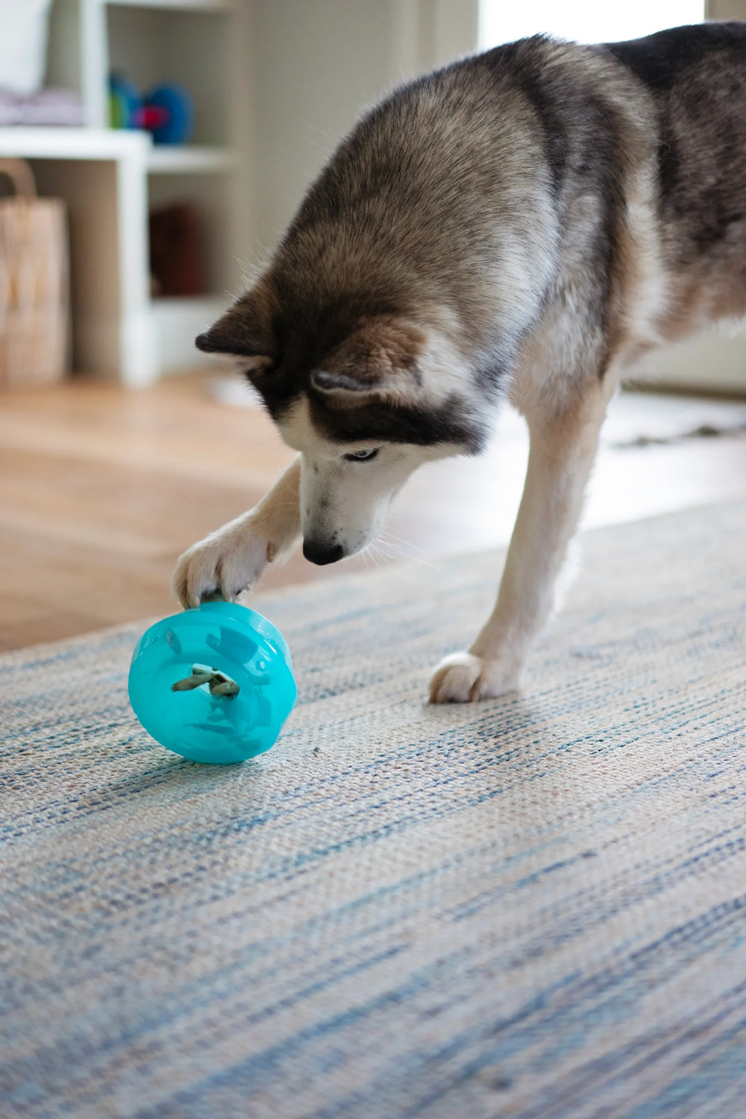 Totally Pouched Stuff & Wobble Ball