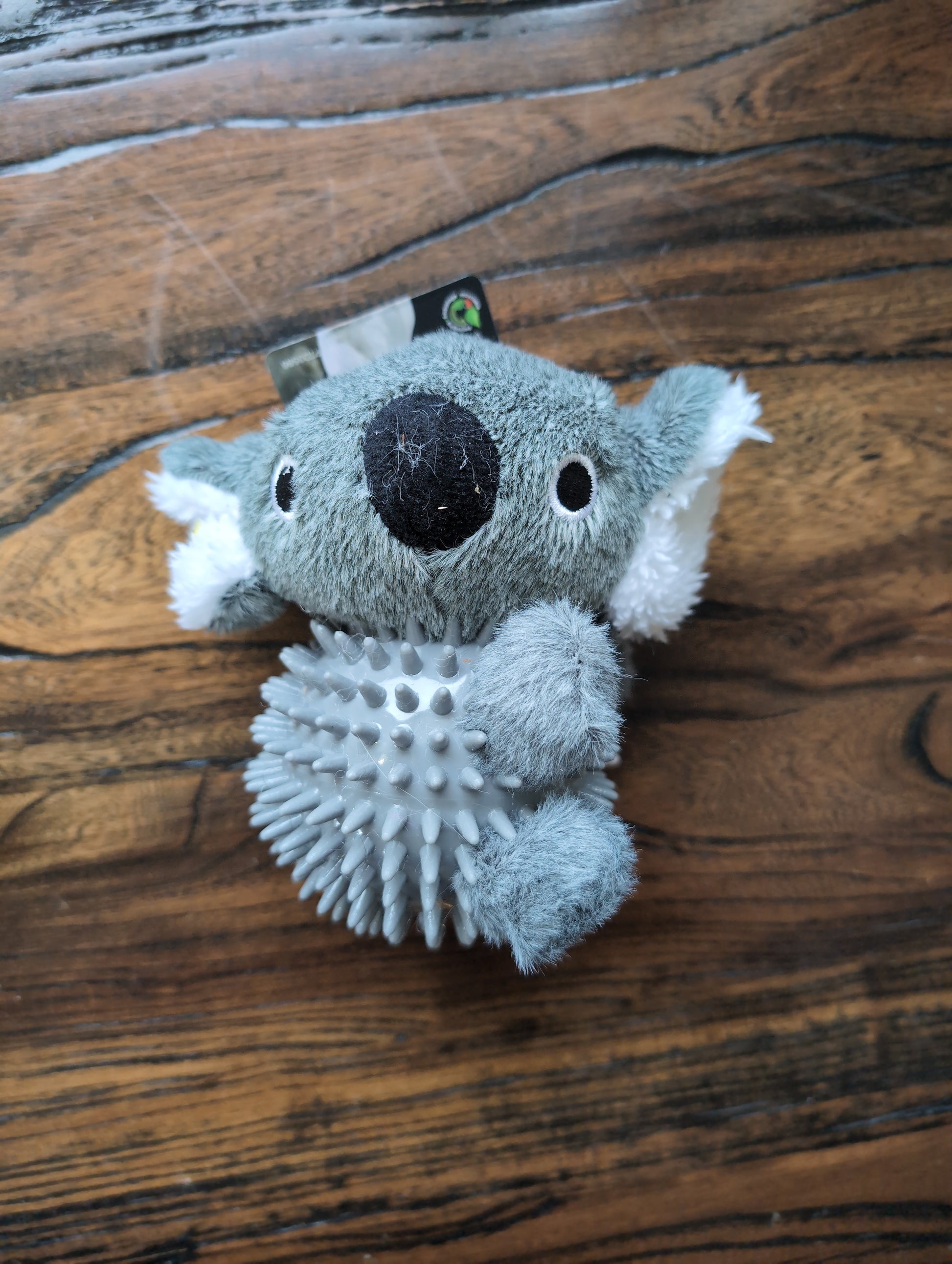 koala spike ball