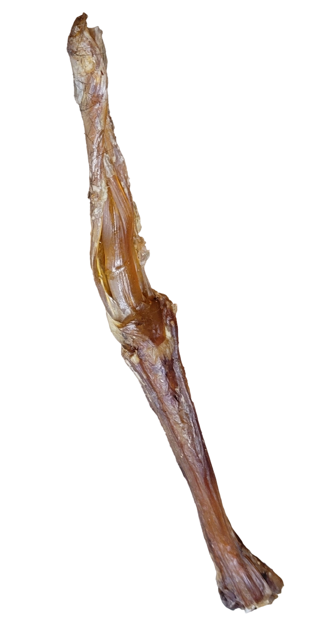 Beef Achilles Tendon