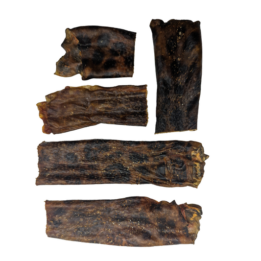 Wolffish Skins