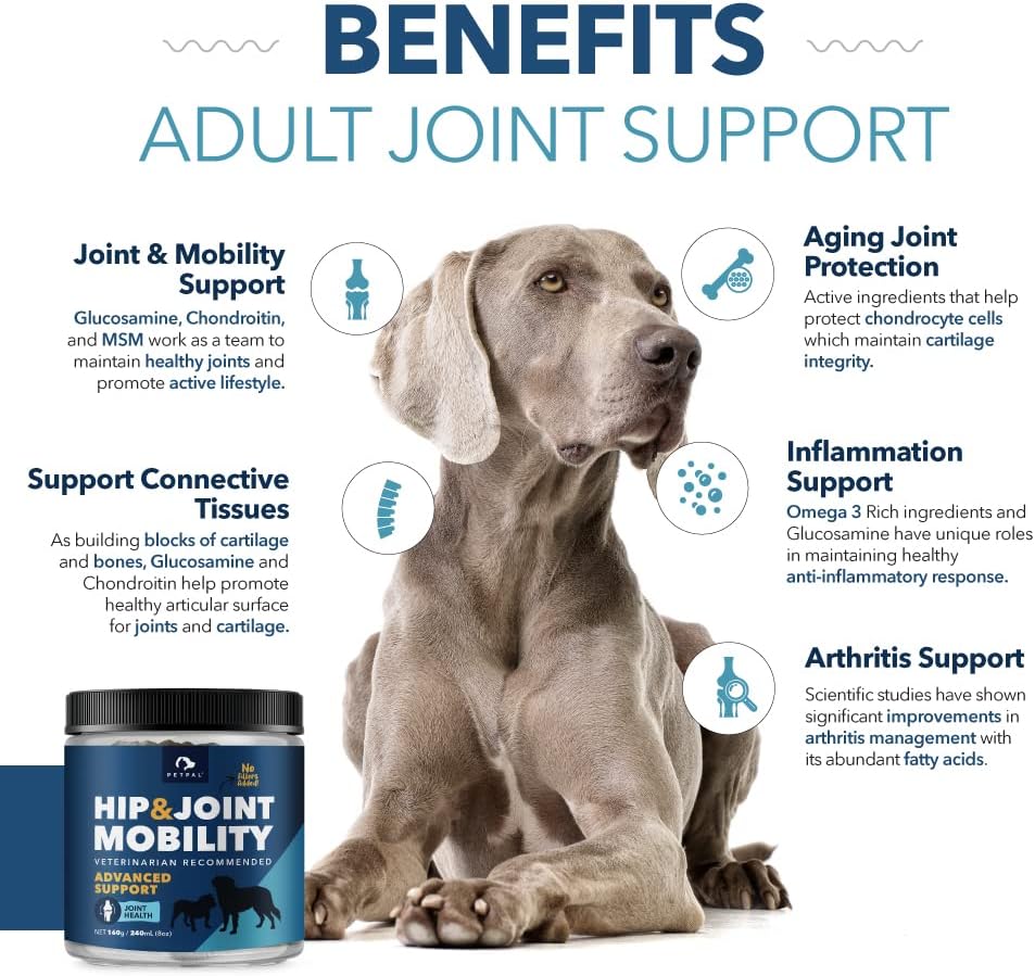 Hip & Joint Mobility Powder