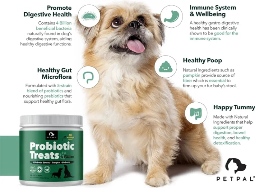 Probiotic Treats