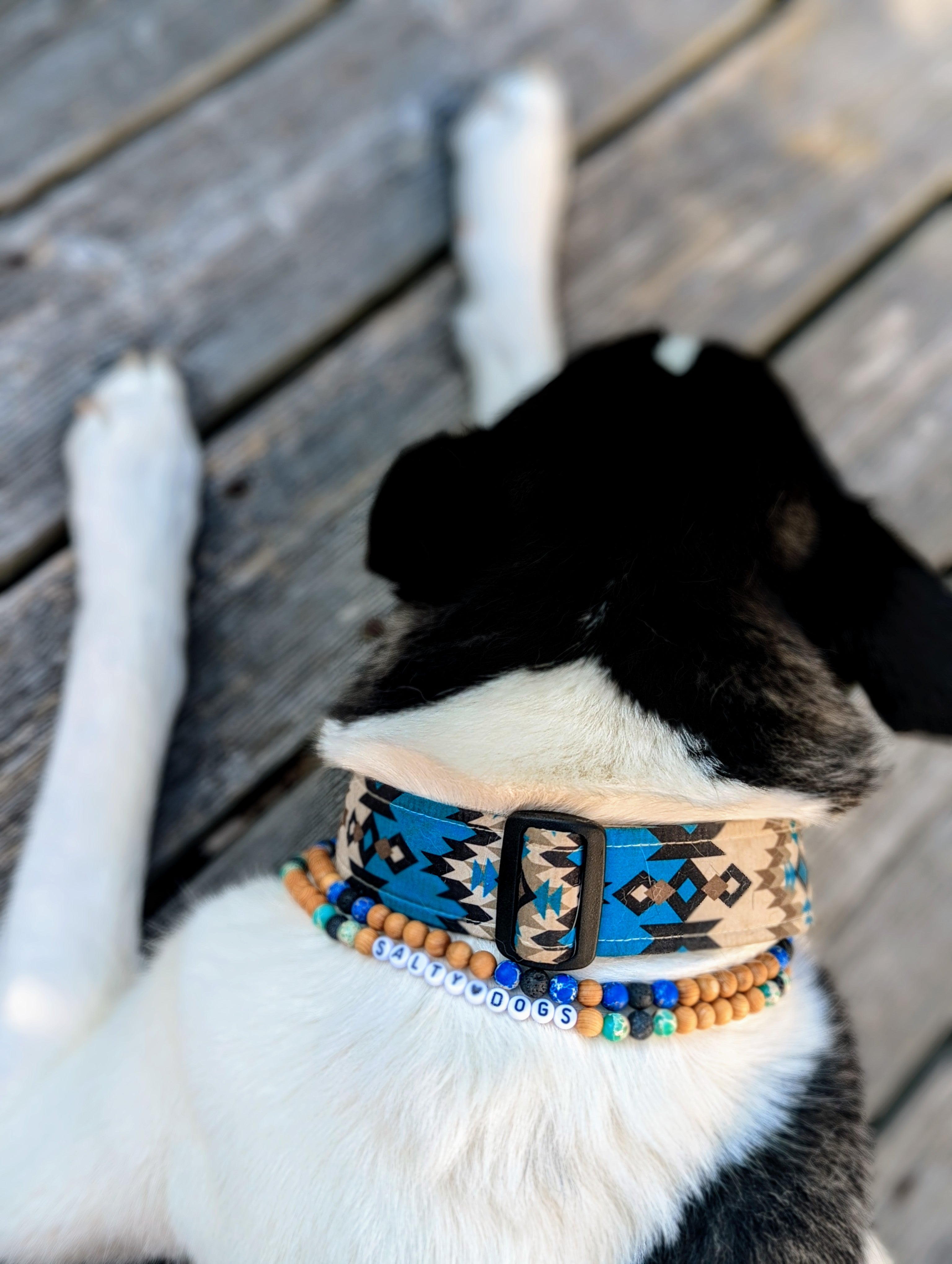 Salt deals dog collars