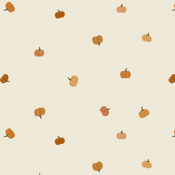 Mini Pumpkins