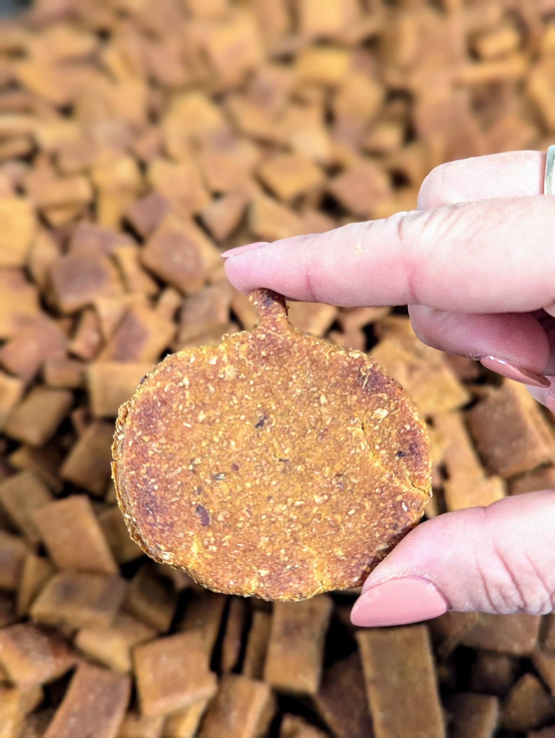 Pumpkin Spice Pawtte by Salty Dogs Barkery