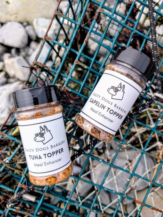 Salty Spice Meal Enhancer