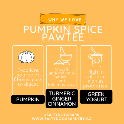Pumpkin Spice Pawttè