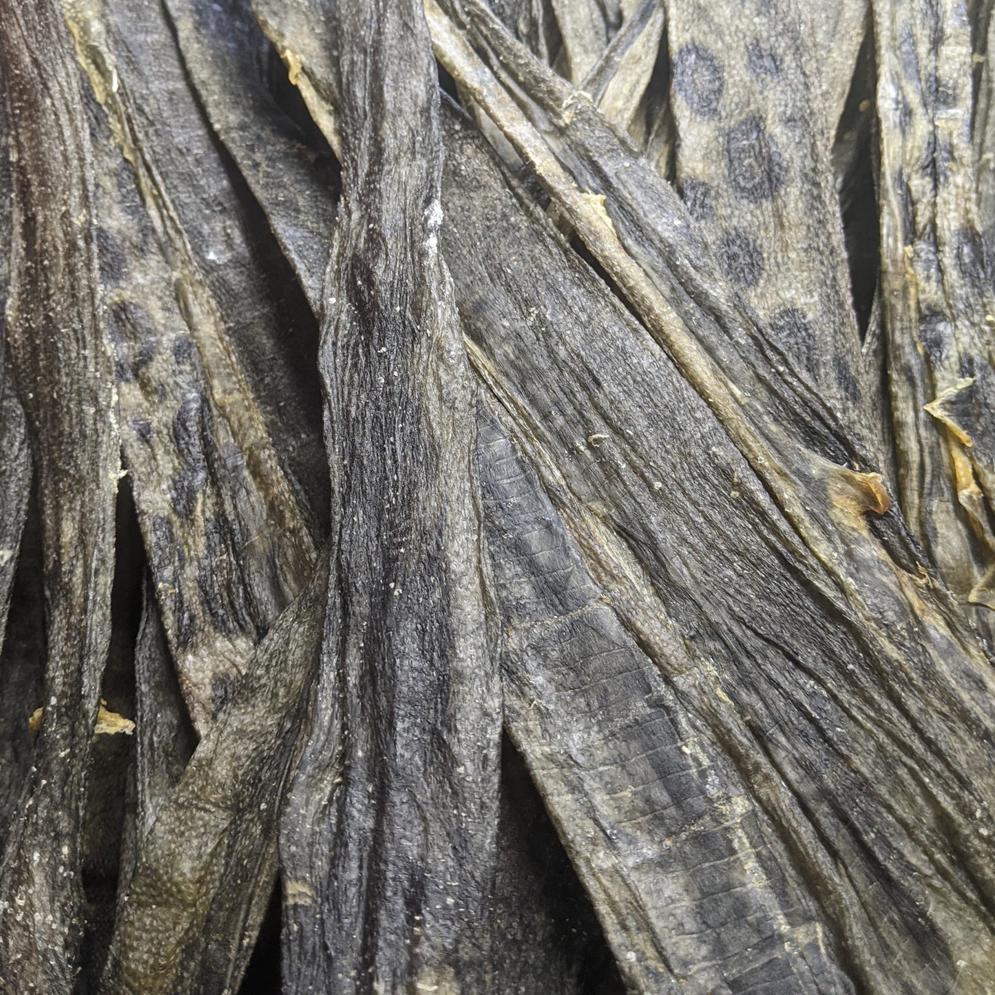 XL Wolffish Skins (KG)
